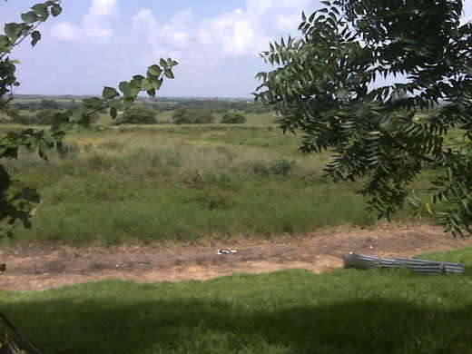 IMG01864.jpg