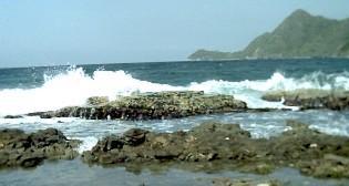 olas