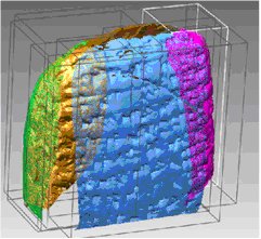 Digitalizado