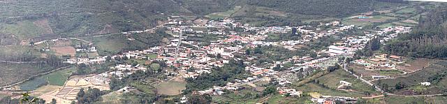 Tuñame entre árboles