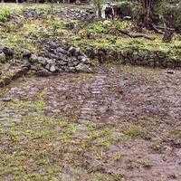 Malqui Machay