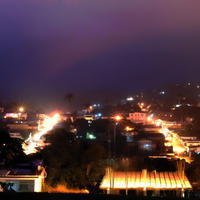 Churugara nocturna