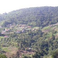 El sector Cruz Verde de la Colonia Tovar (creo).