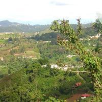 Sector cercano a San Antonio de Los Altos