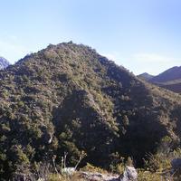 El cerro que cierra El Valle, también conocido como La Culata. Más allá, el páramo de Tucani.