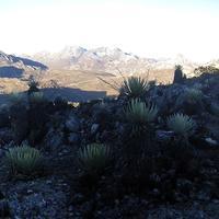 A algo más de cuatro mil metros de altura, la vista hacia el norte desde la sierra nevada de Mérida. Abajo, el camino hacia Piñango.
