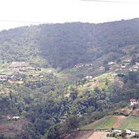 El sector sur -que mira al norte- de la Colonia Tovar.