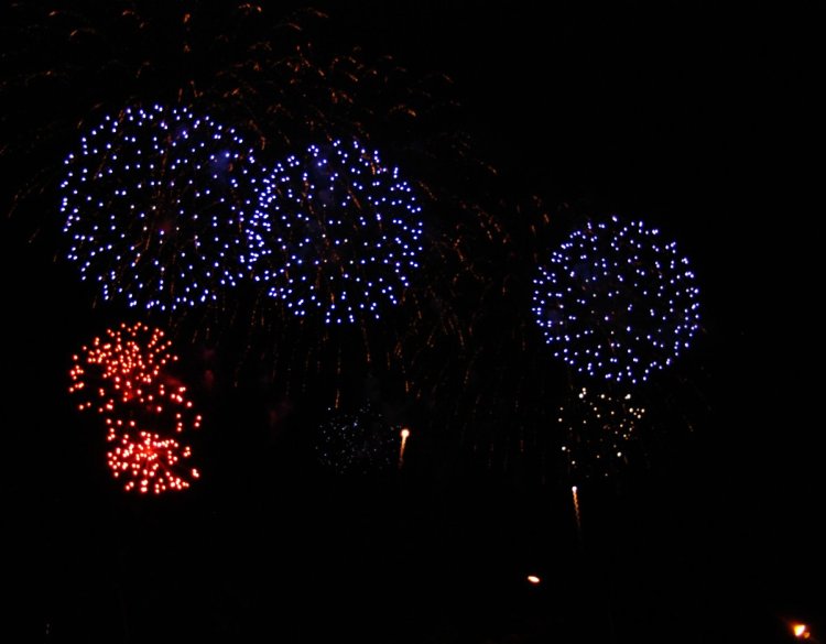 002-DSC_4693.JPG.medium.jpeg