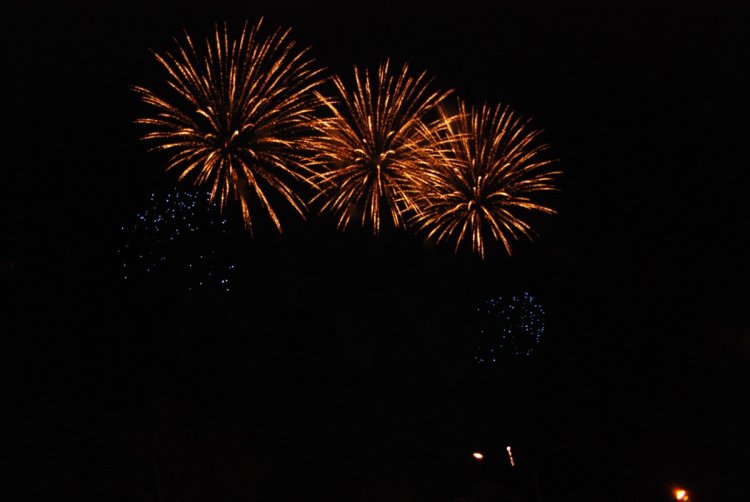 003-DSC_4694.JPG.medium.jpeg