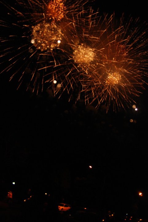 011-DSC_4709.JPG.medium.jpeg