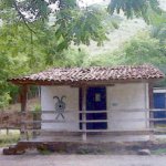 IMG01181.jpg