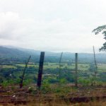 IMG01253.jpg