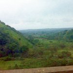 IMG01304.jpg