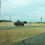 IMG01590.jpg