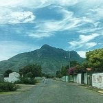 IMG01597.jpg