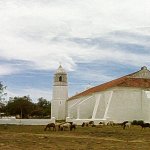 IMG01598.jpg