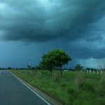 IMG01149.jpg
