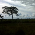 IMG01150.jpg