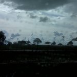IMG01154.jpg