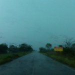 IMG01155.jpg