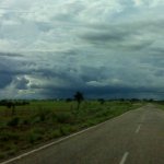 IMG01159.jpg
