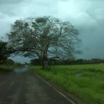 IMG01163.jpg