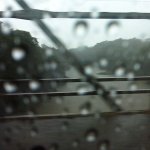 IMG01170.jpg