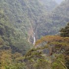 DSC_4146.JPG