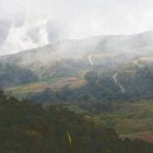 DSC_4311.JPG