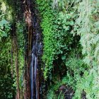 DSC_4337.JPG