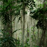 DSC_5185.JPG