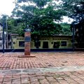 IMG03287.jpg