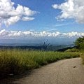 IMG02783.jpg