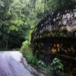 IMG02309.jpg