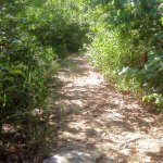 IMG02346.jpg
