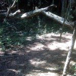 IMG02354.jpg
