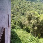 IMG02363.jpg