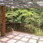 IMG02365.jpg