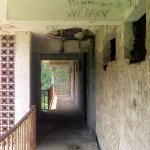 IMG02367.jpg