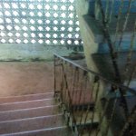 IMG02380.jpg