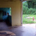 IMG02383.jpg