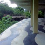 IMG02385.jpg