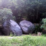 IMG02407.jpg
