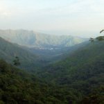 IMG02418.jpg
