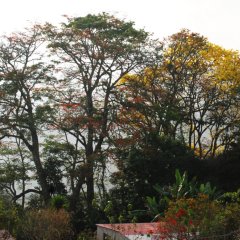 DSC 5023