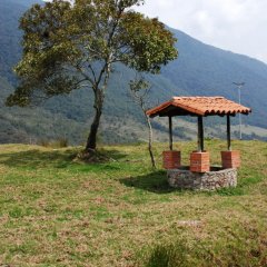 DSC 5059