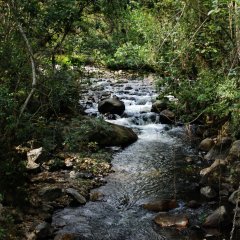 DSC 5065
