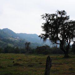 DSC 5071