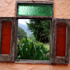 DSC 5084