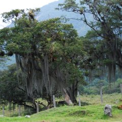 DSC 5086
